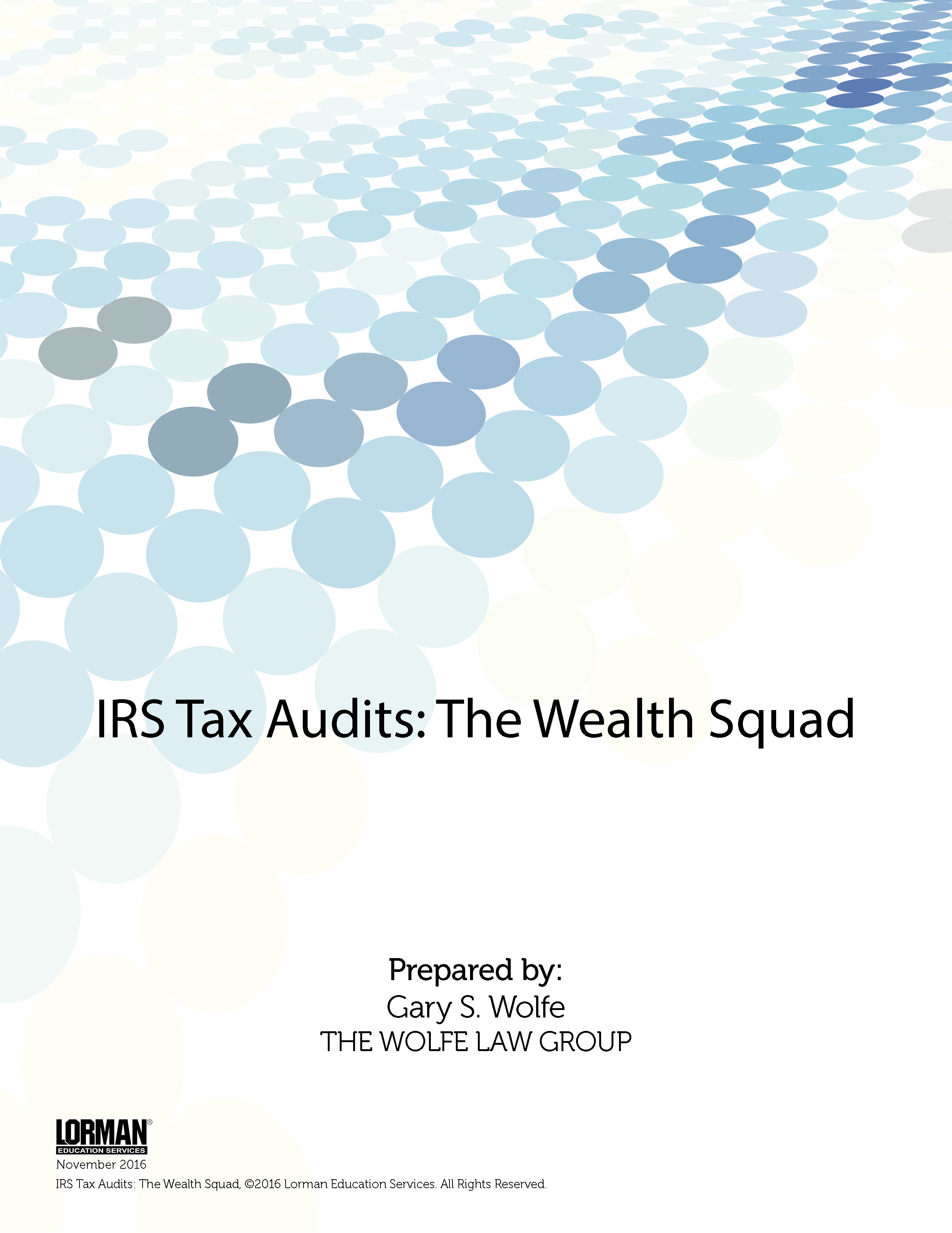 IRS Tax Audits - The Wealth Squad