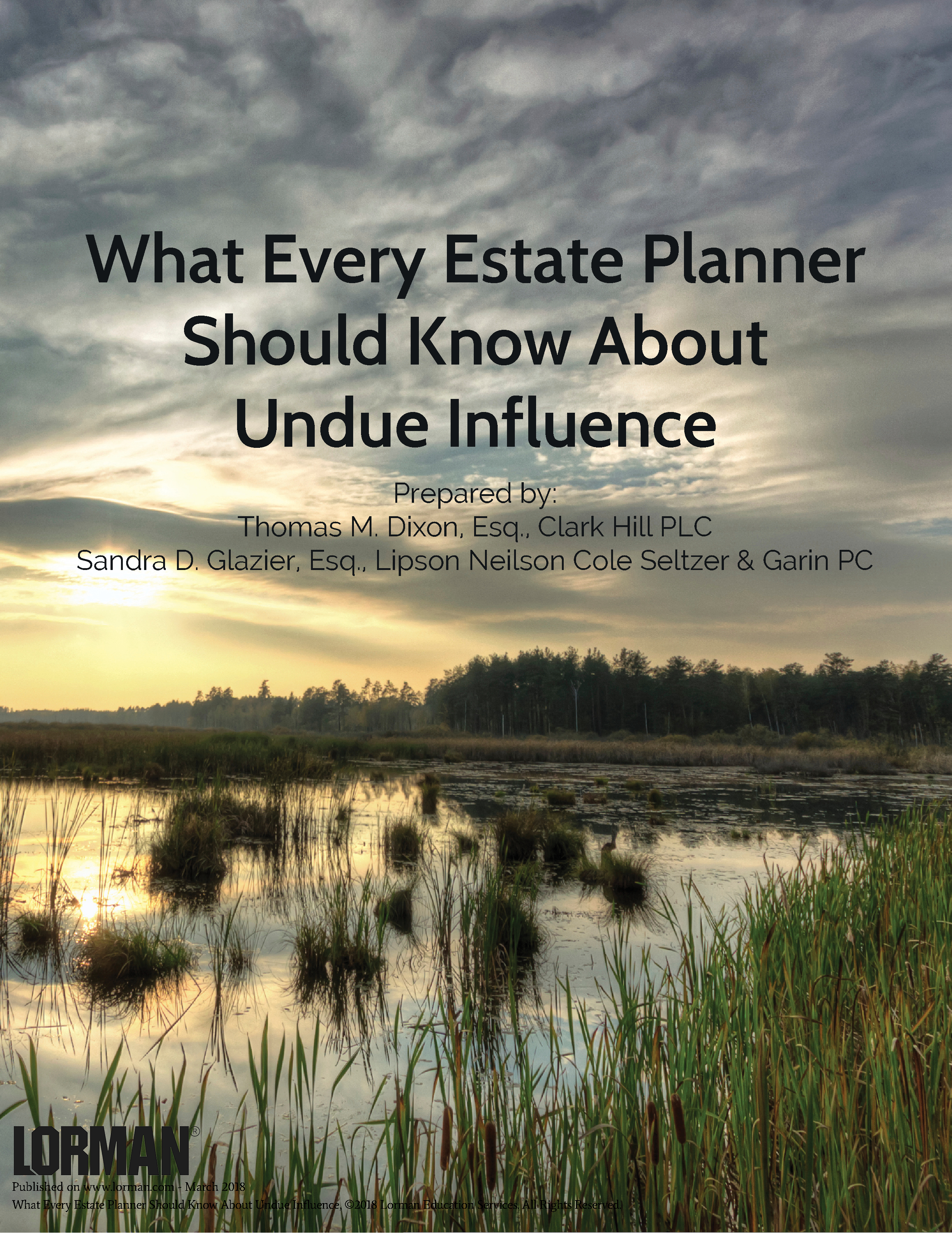 What Every Estate Planner Should Know About Undue Influence