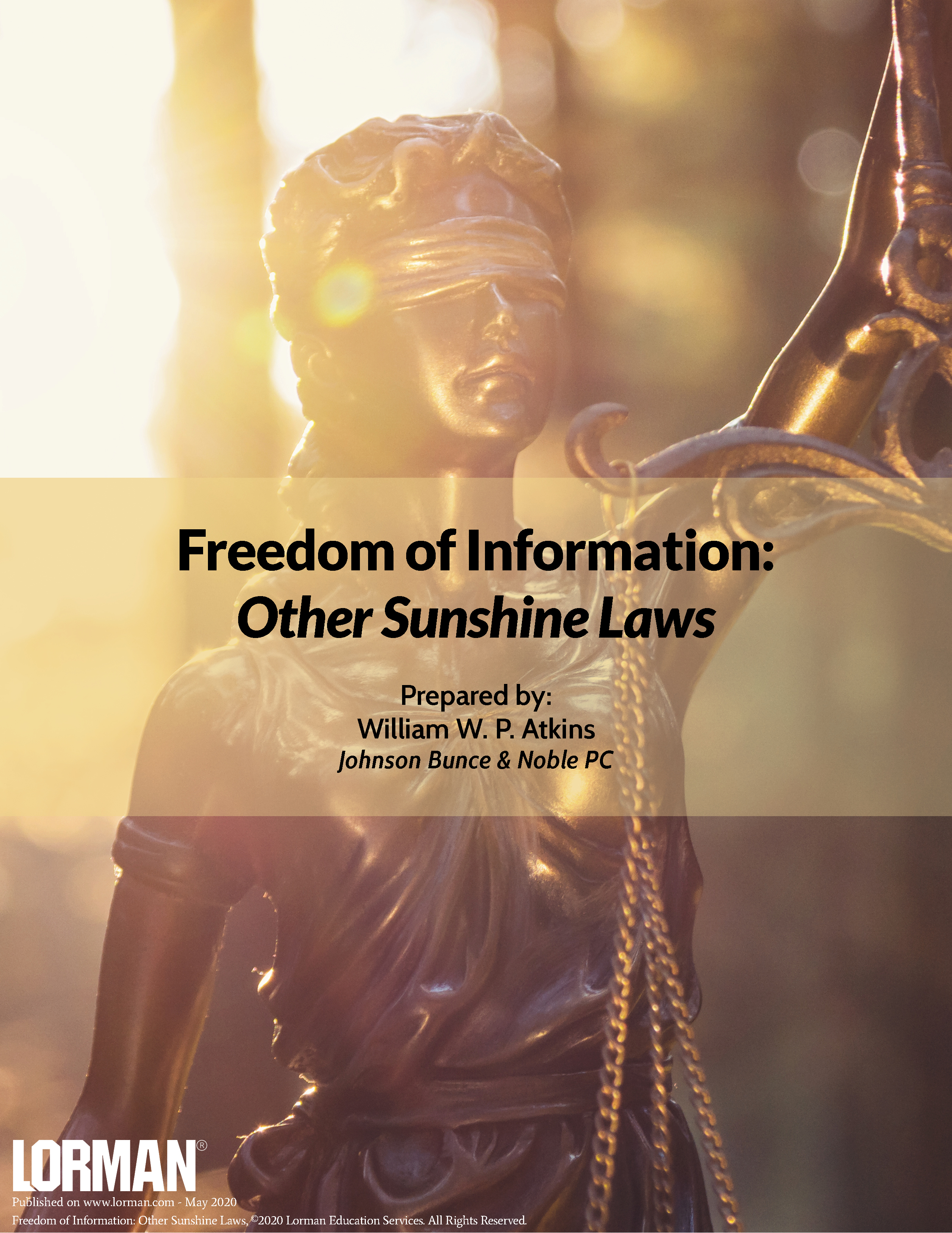 Freedom of Information: Other Sunshine Laws
