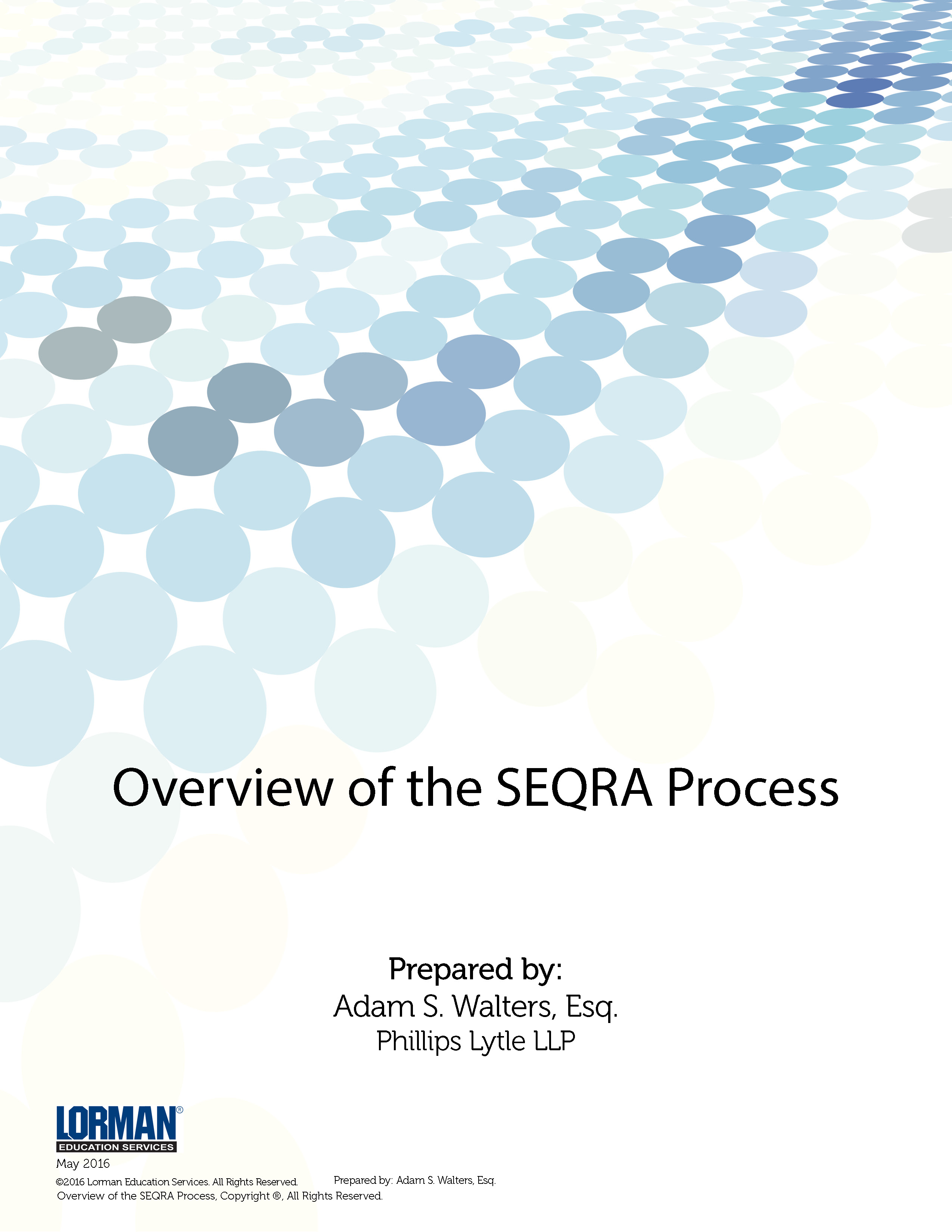 Overview of the SEQRA Process