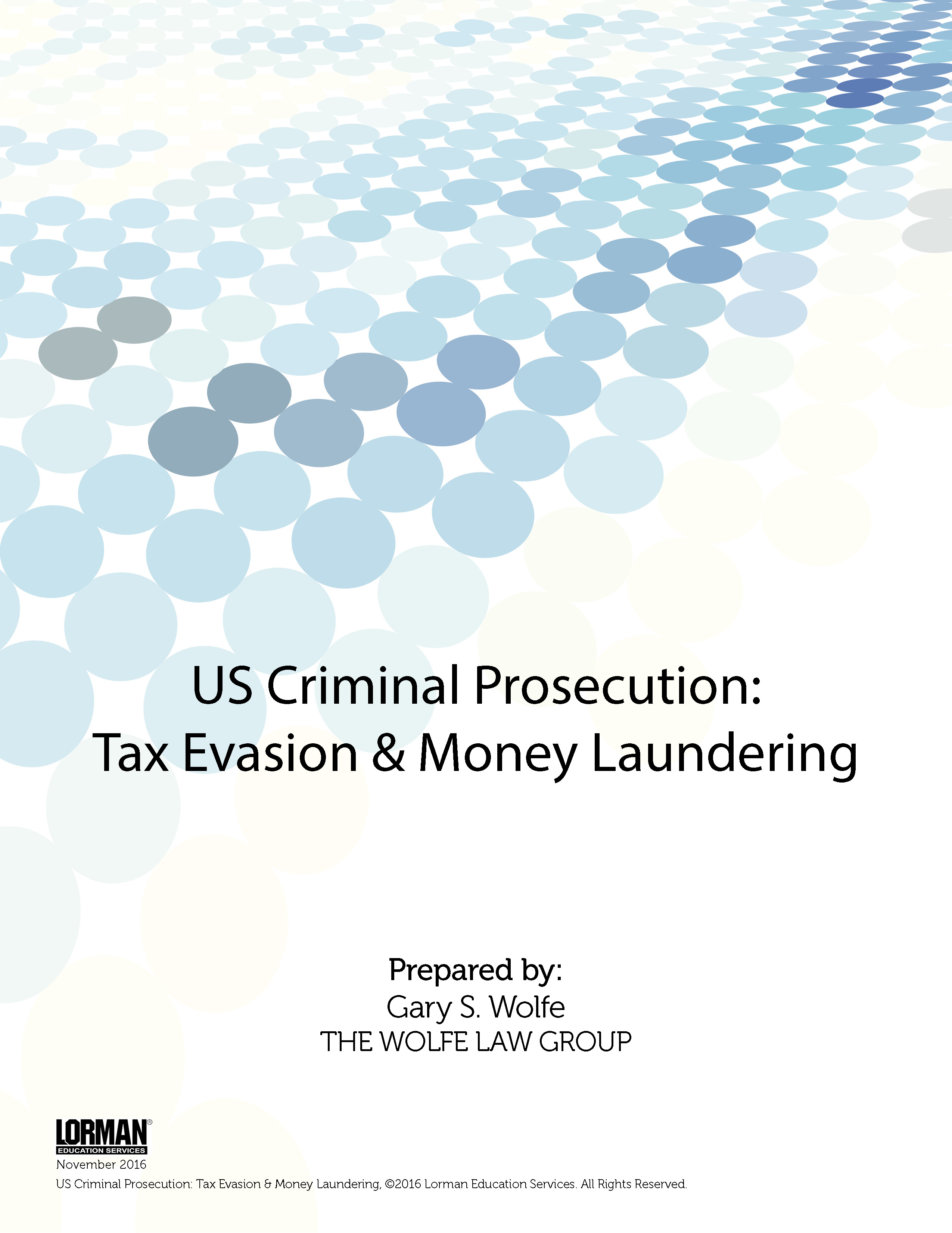 US Criminal Prosecution - Tax Evasion and Money Laundering
