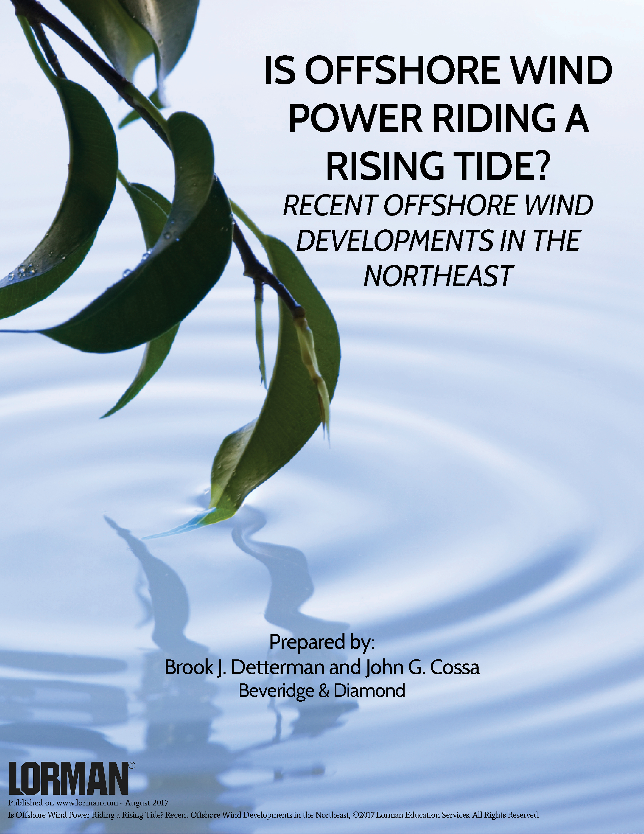 Is Offshore Wind Power Riding a Rising Tide?   Recent Offshore Wind Developments in the Northeast