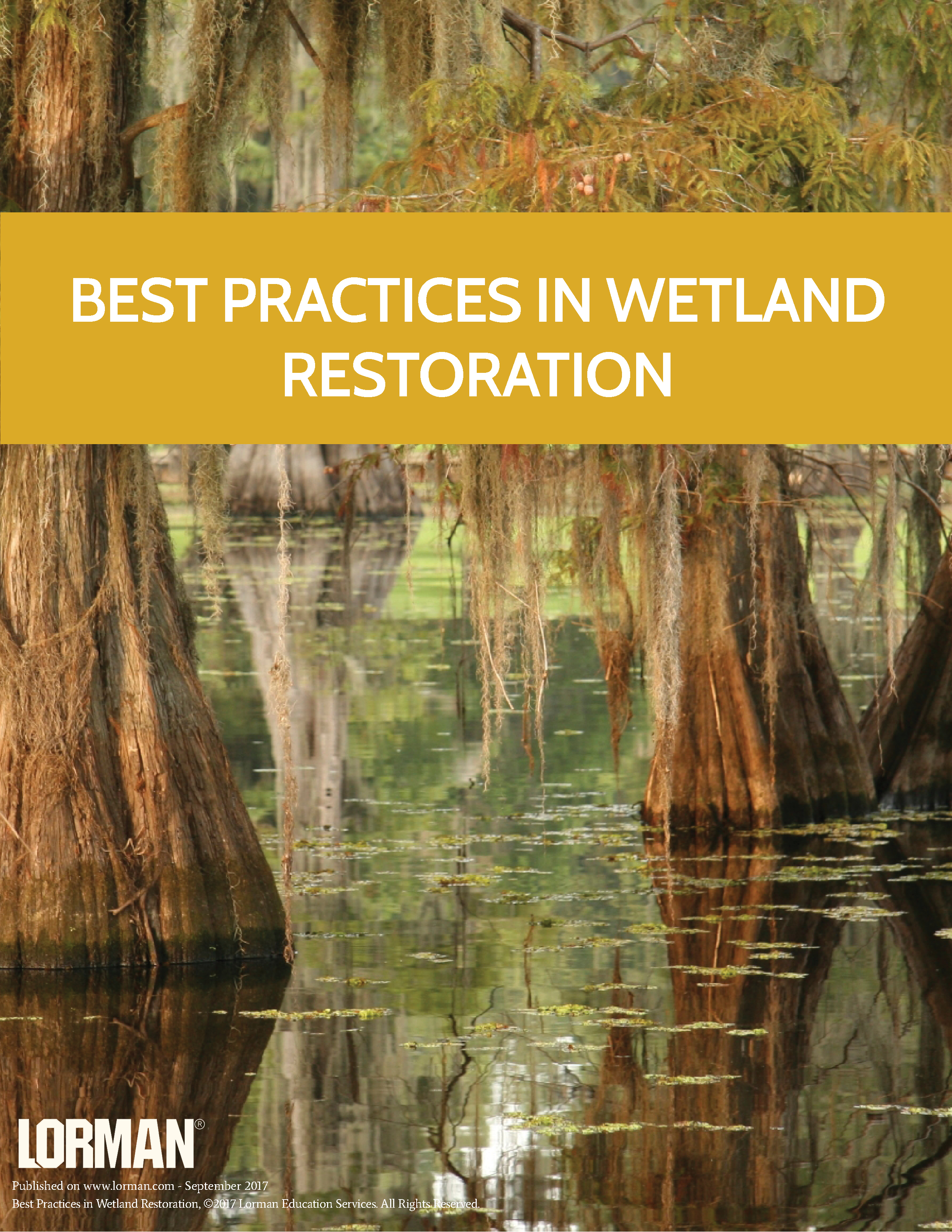 Best Practices in Wetland Restoration