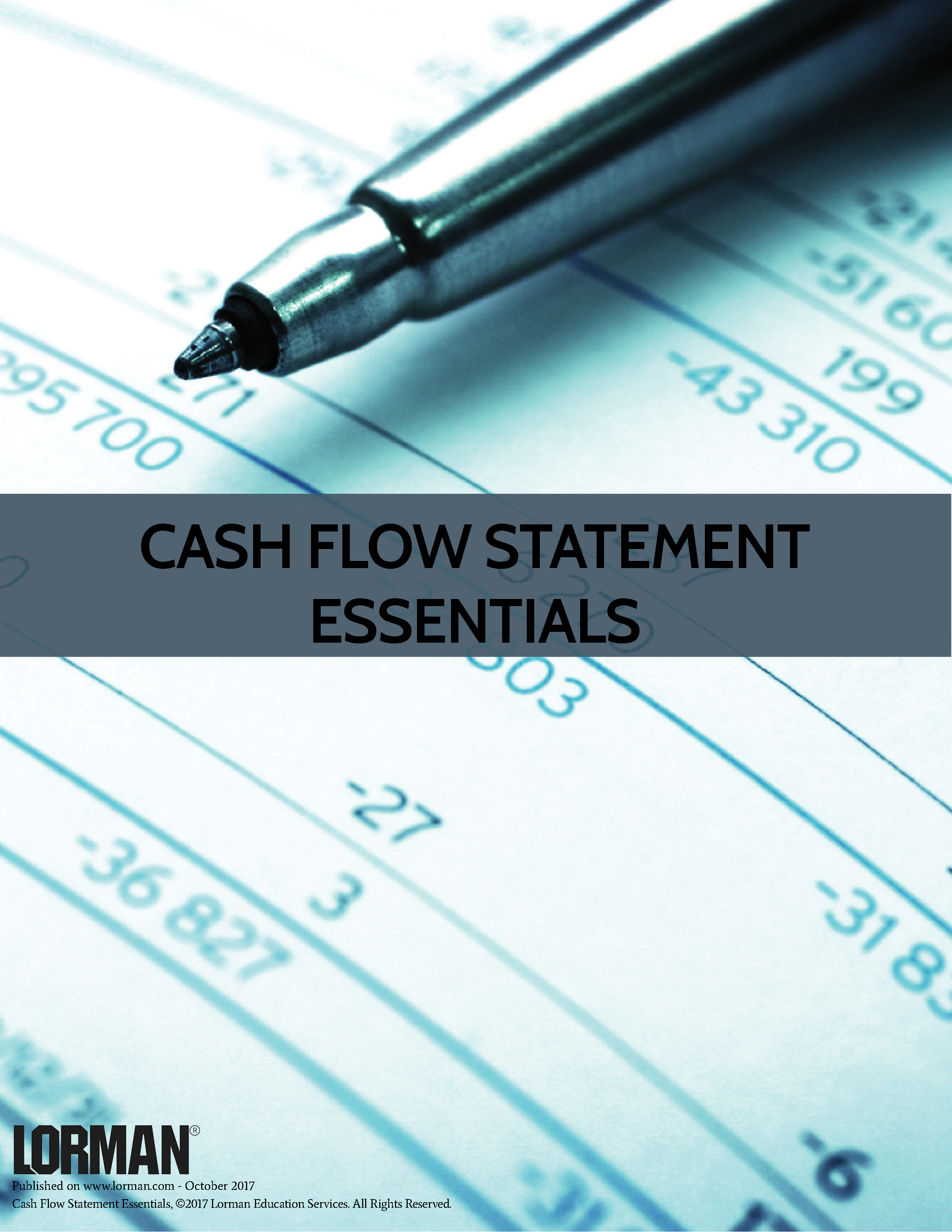 Cash Flow Statement Essentials