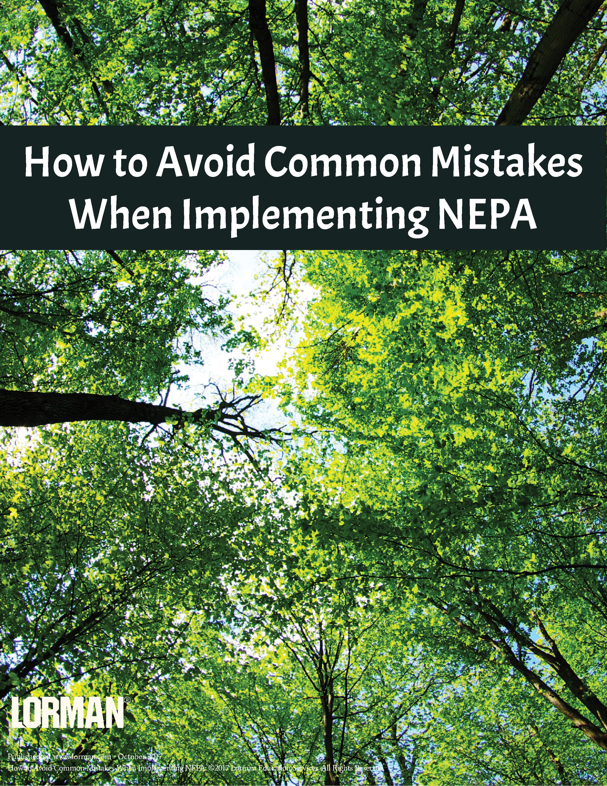 How to Avoid Common Mistakes When Implementing NEPA