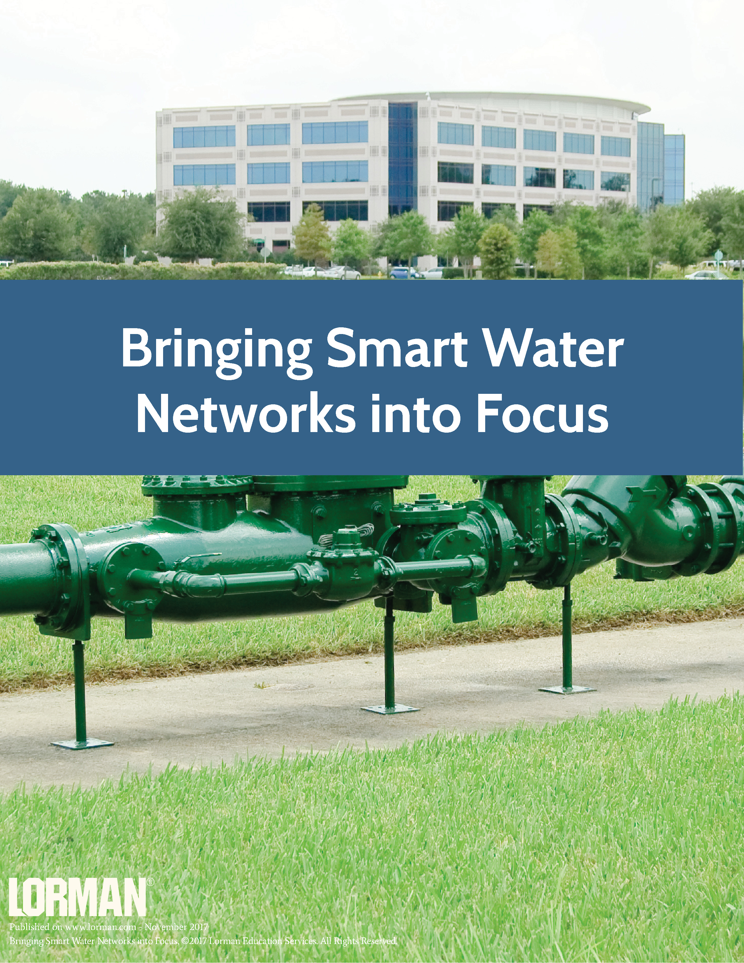 Bringing Smart Water Networks into Focus