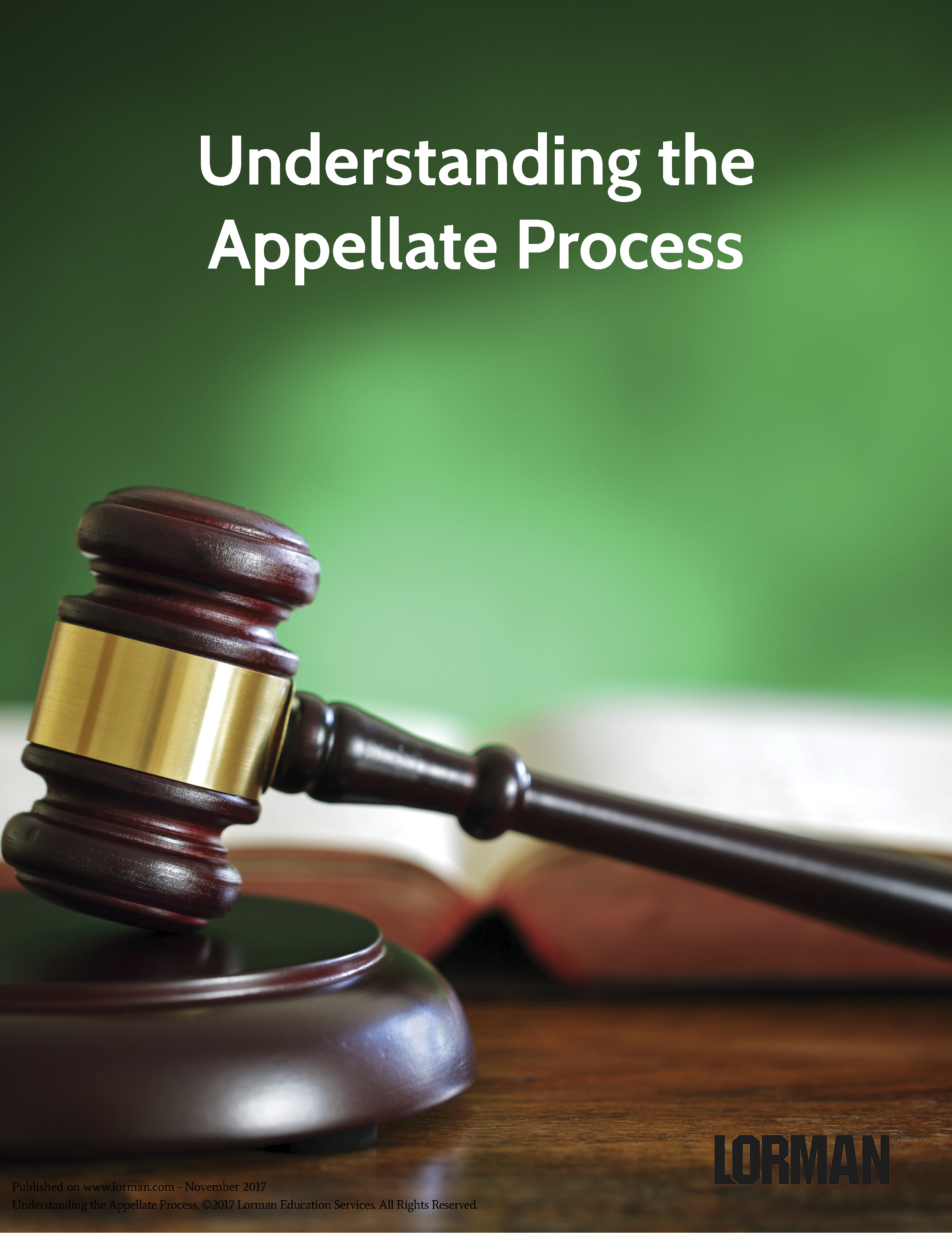Understanding the Appellate Process