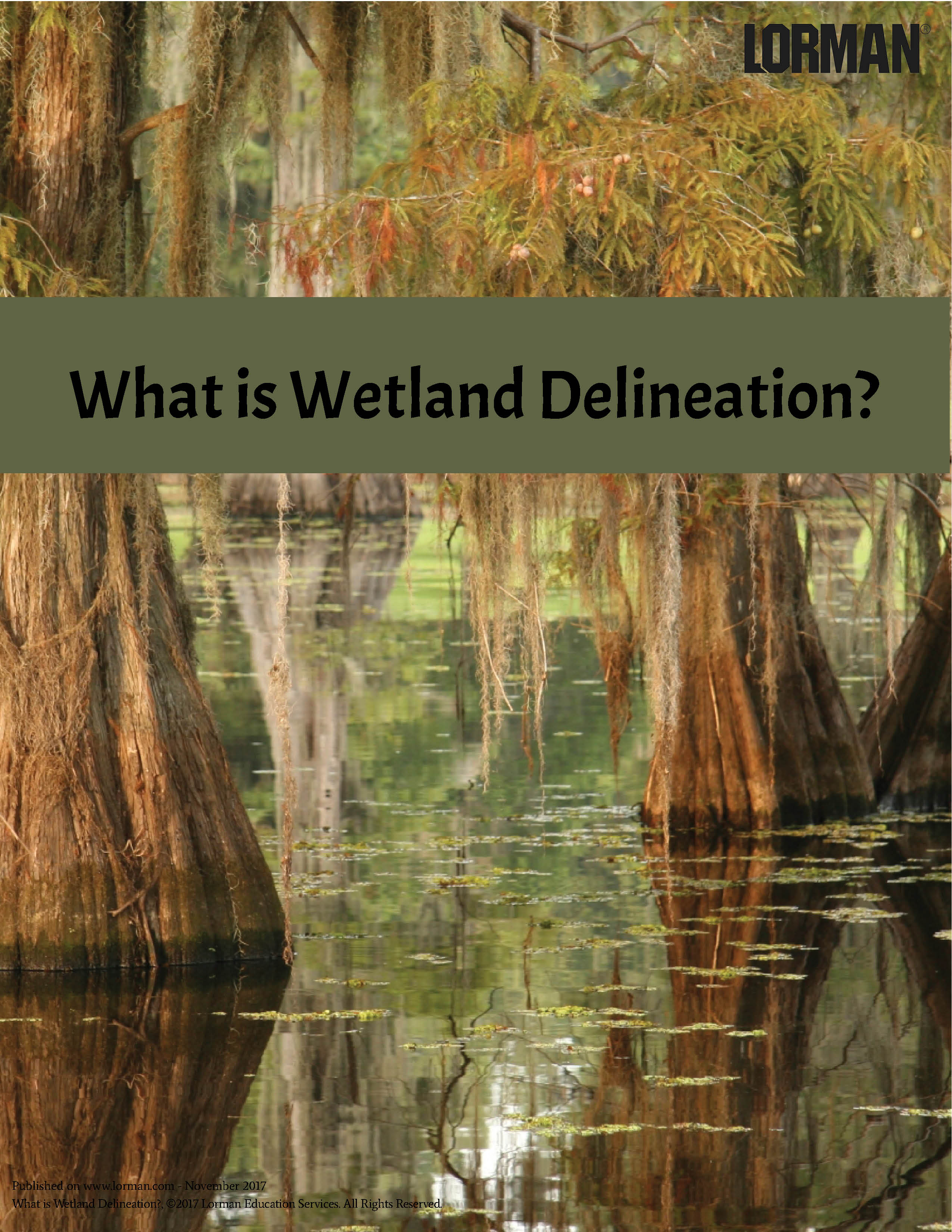 What is Wetland Delineation?