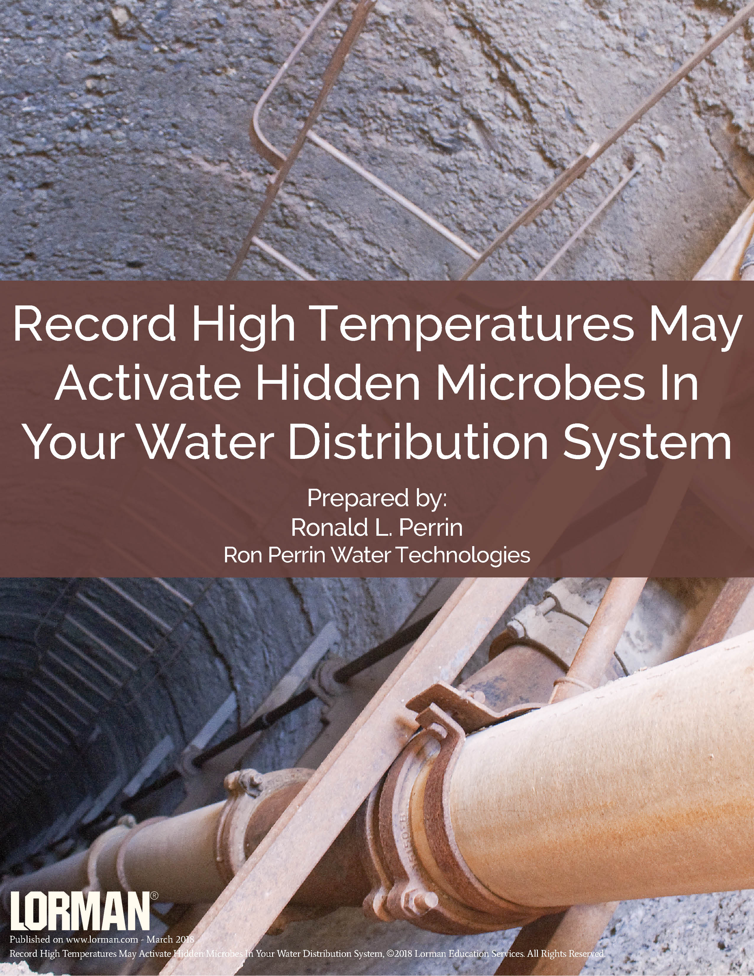 Record High Temperatures May Activate Hidden Microbes In Your Water Distribution System