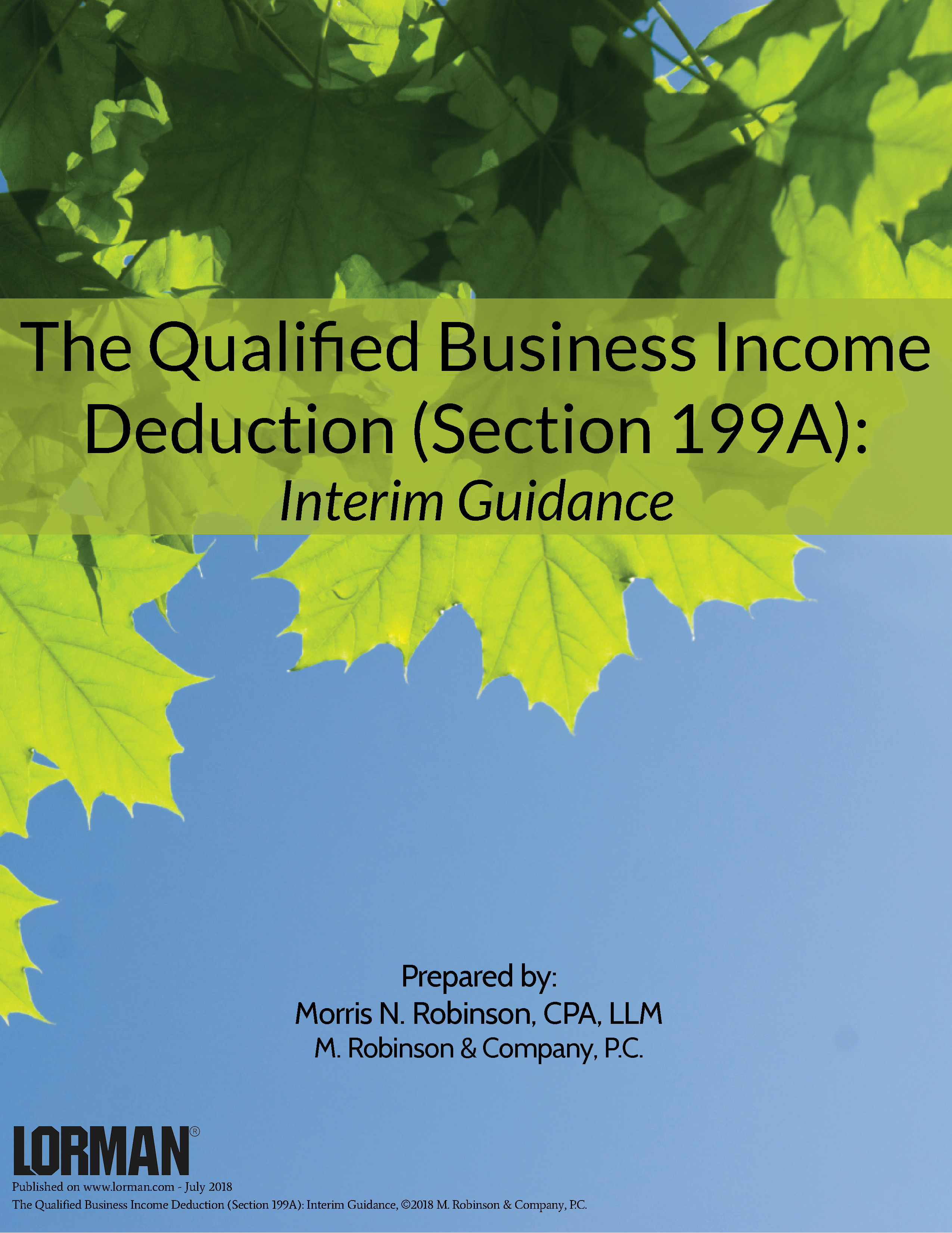 The Qualified Business Income Deduction (Section 199A) - Interim Guidance