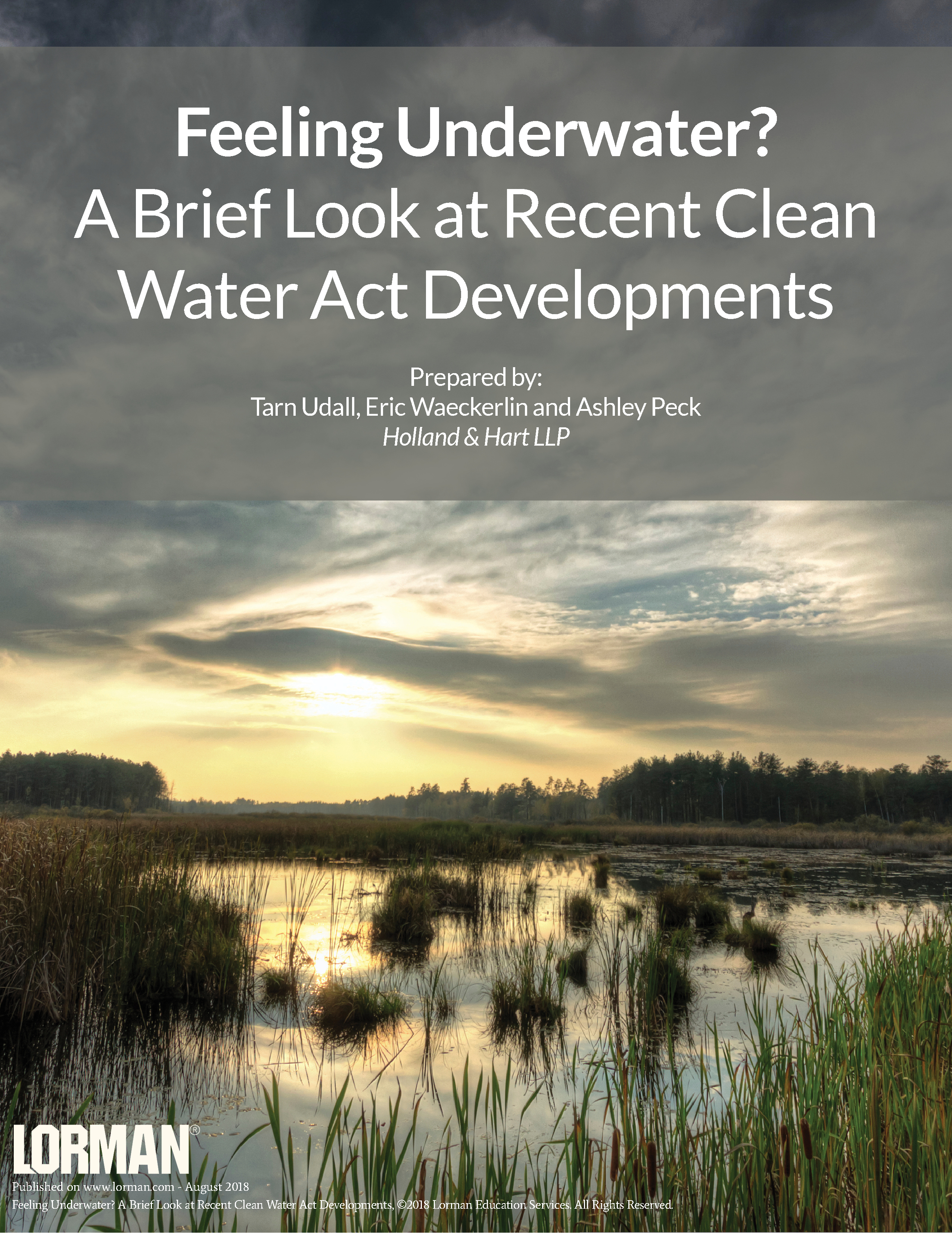Feeling Underwater - A Brief Look at Recent Clean Water Act Developments