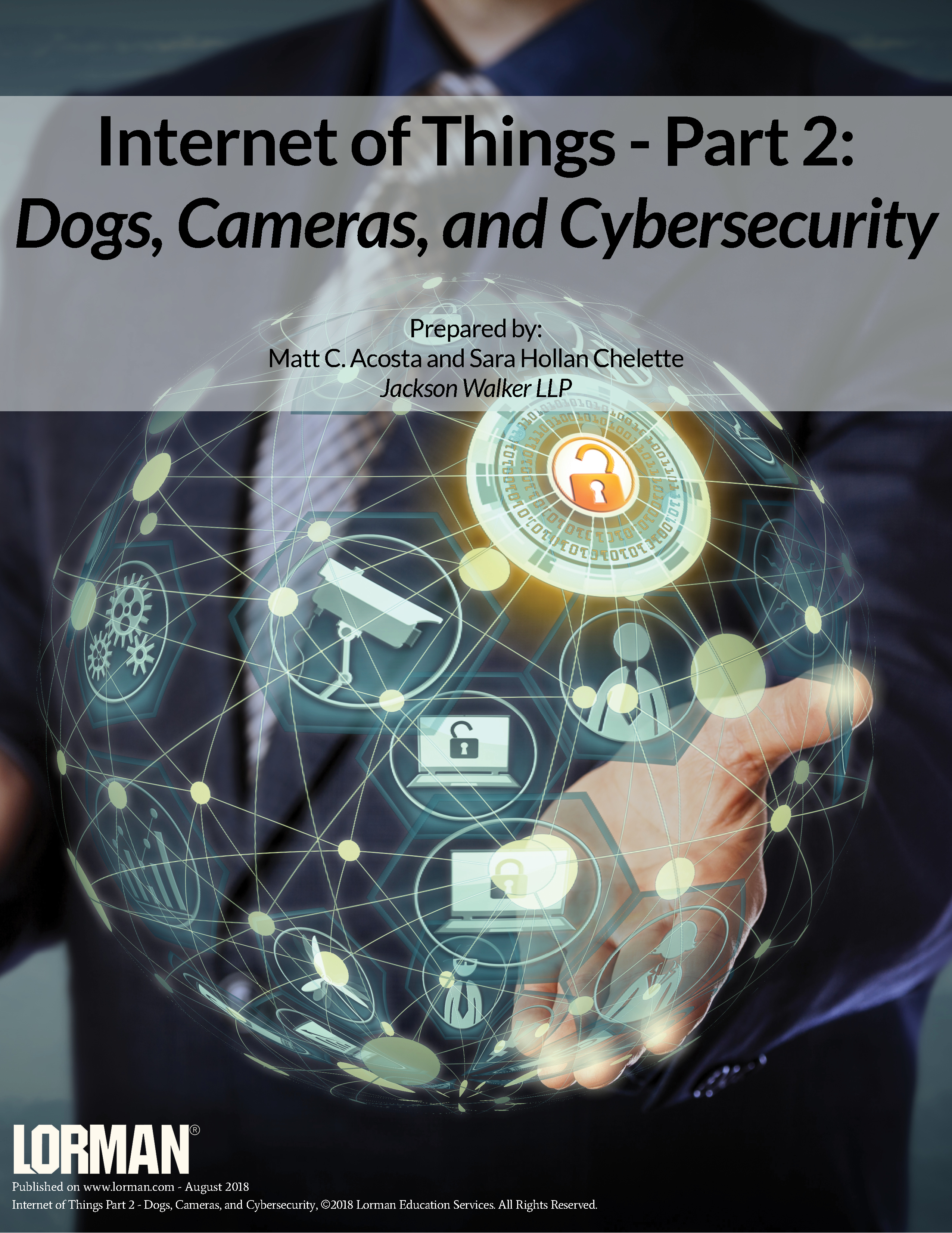 Internet of Things Part 2: Dogs, Cameras, and Cybersecurity