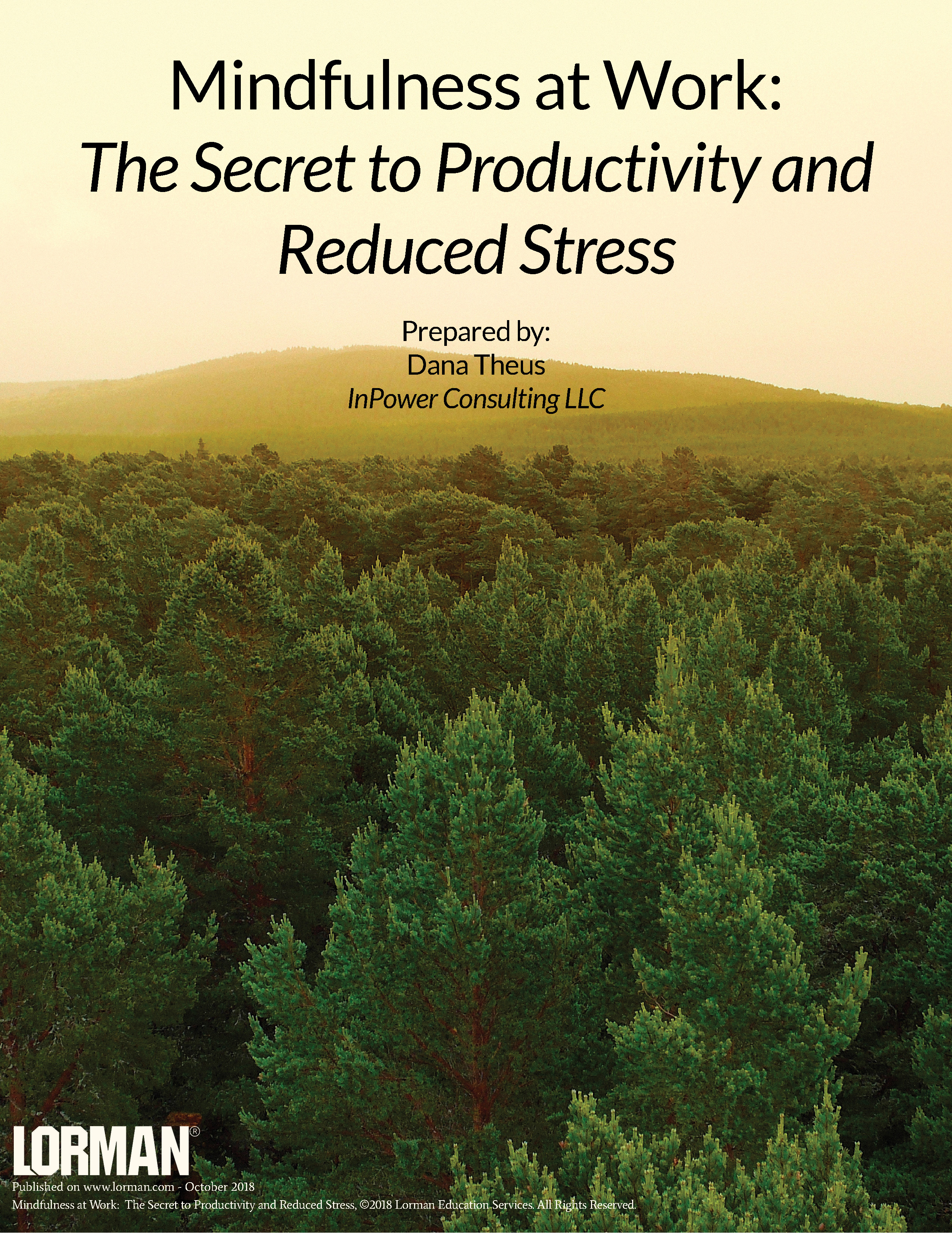 Mindfulness at Work: The Secret to Productivity and Reduced Stress