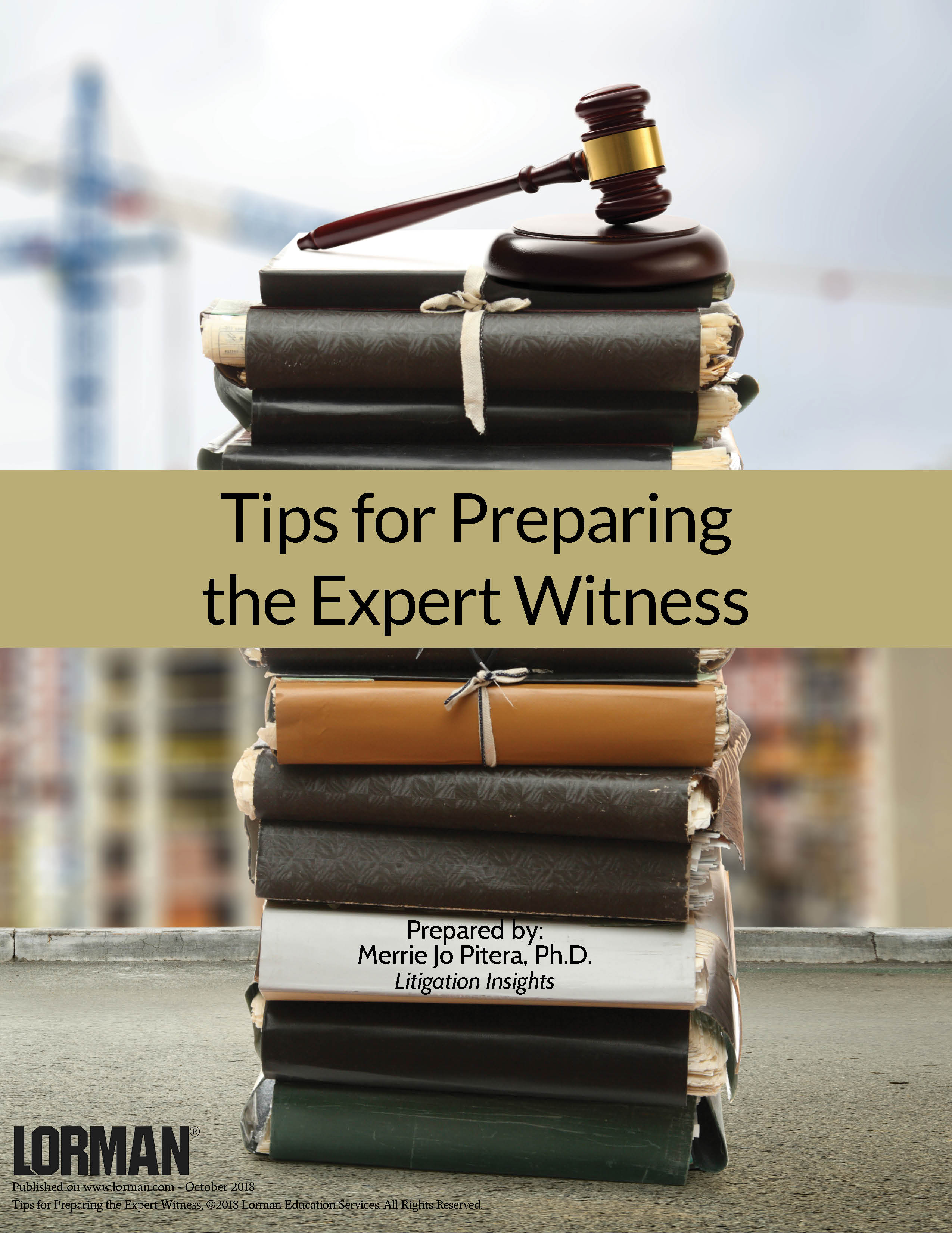 Tips for Preparing the Expert Witness