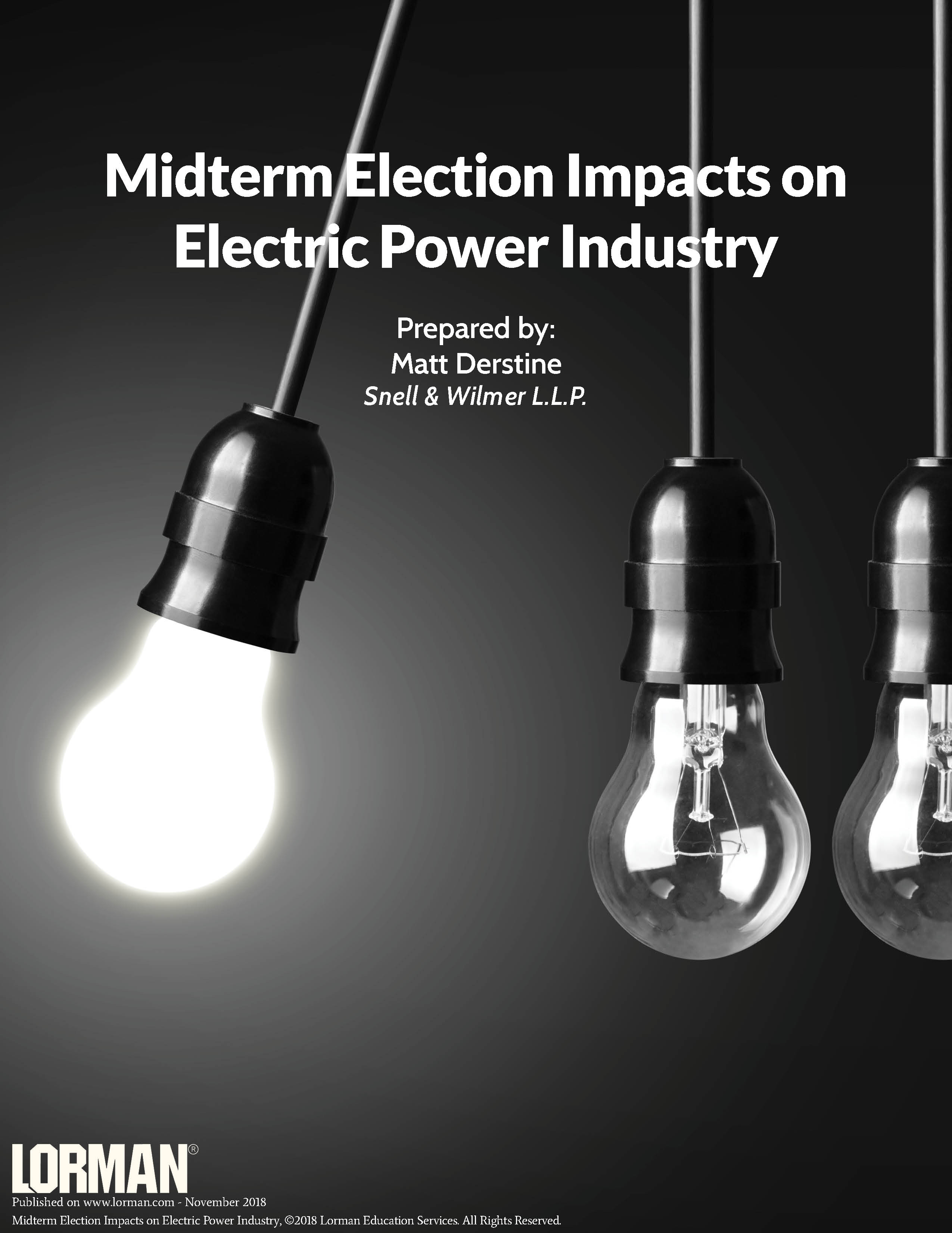 Midterm Election Impacts on Electric Power Industry