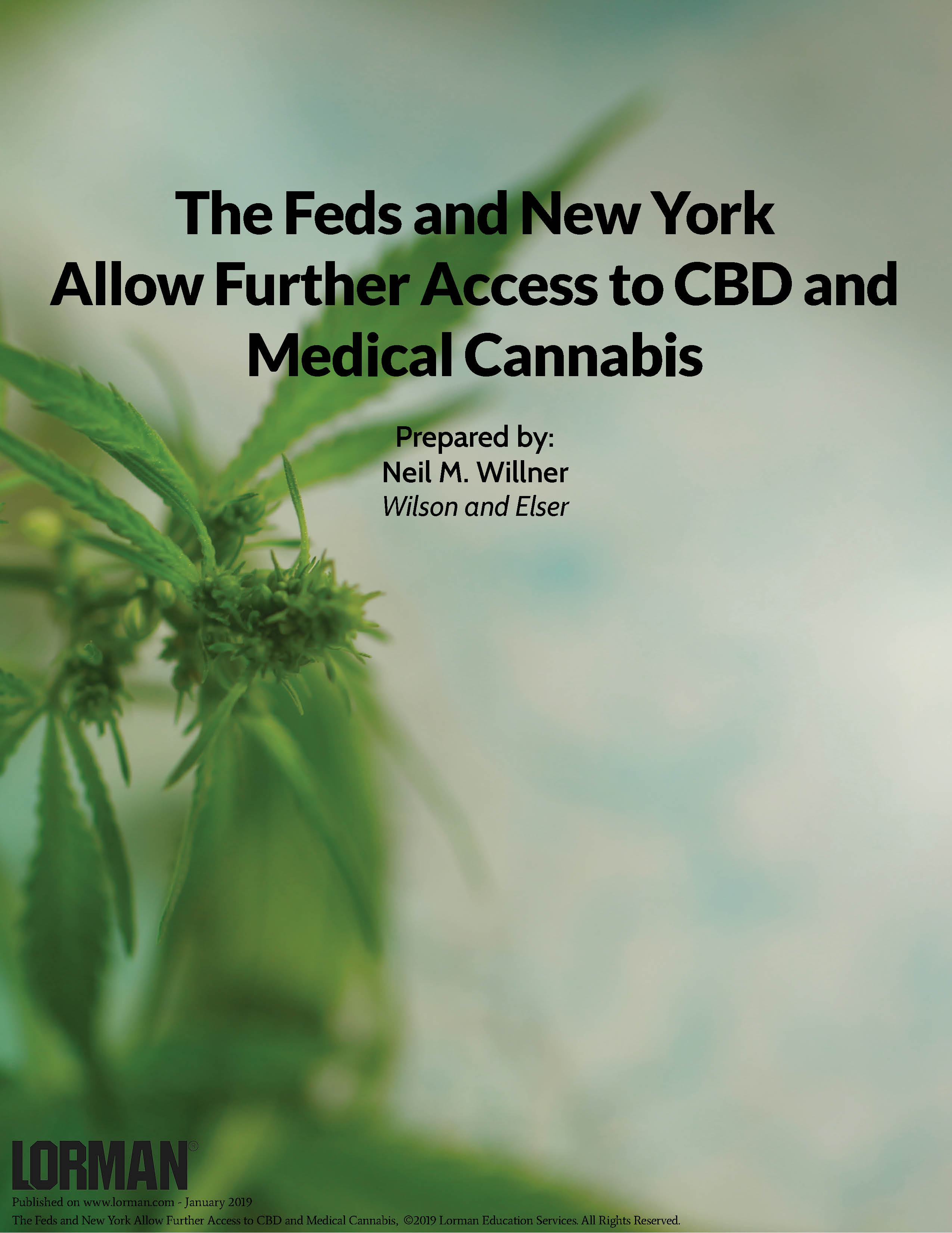 The Feds and New York Allow Further Access to CBD and Medical Cannabis