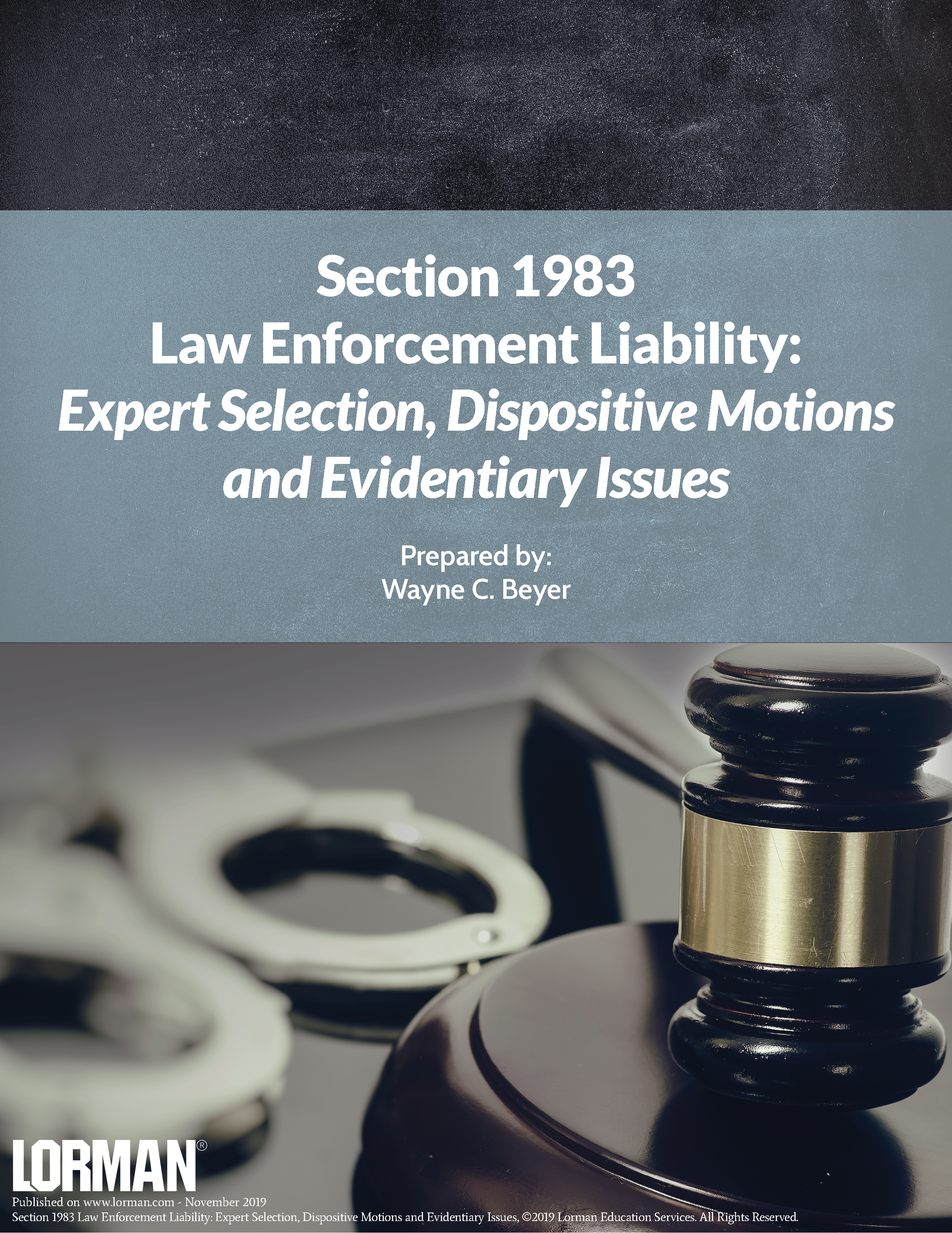 Section 1983 Law Enforcement Liability
