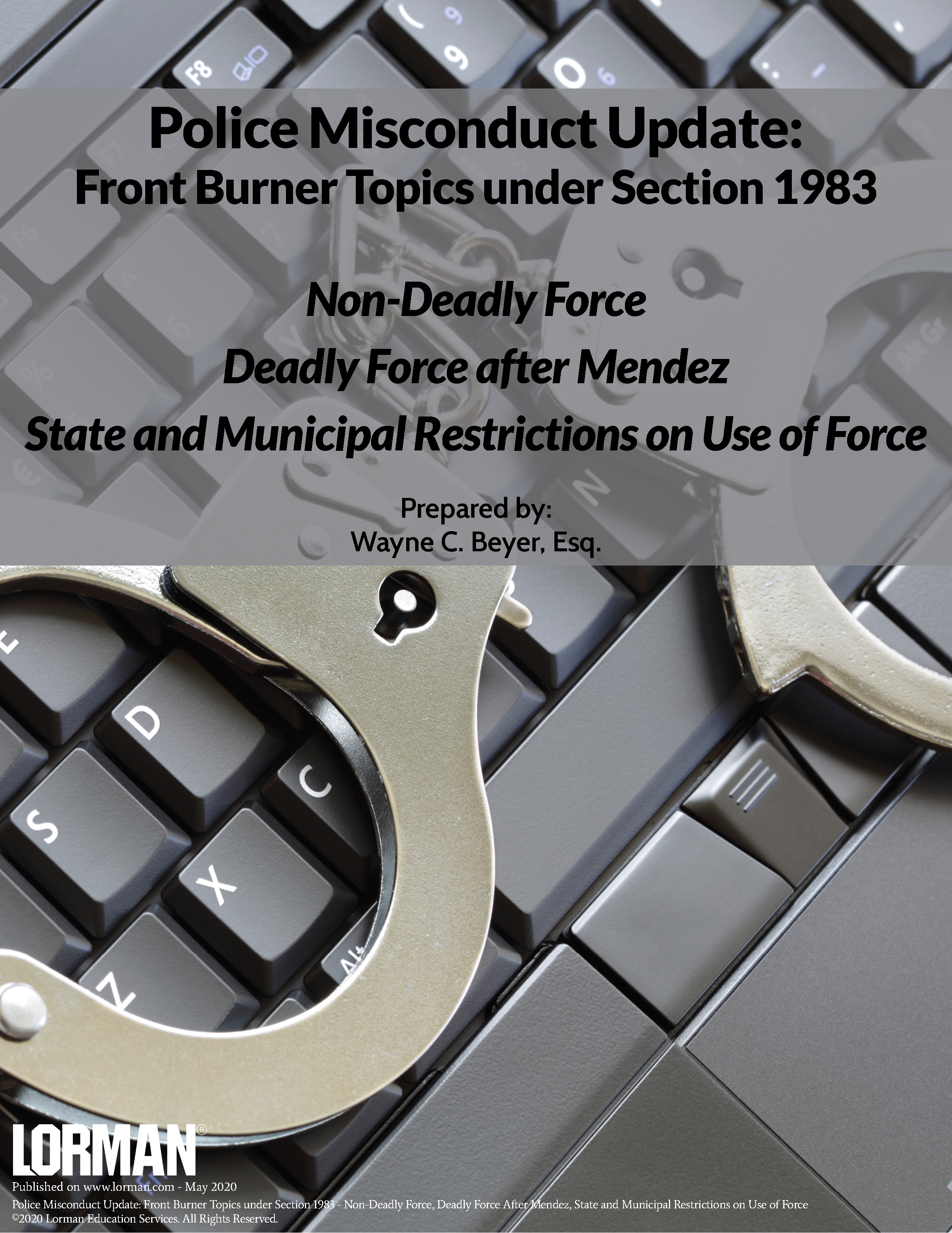 Police Misconduct Update: Non-Deadly Force and Deadly Force After Mendez