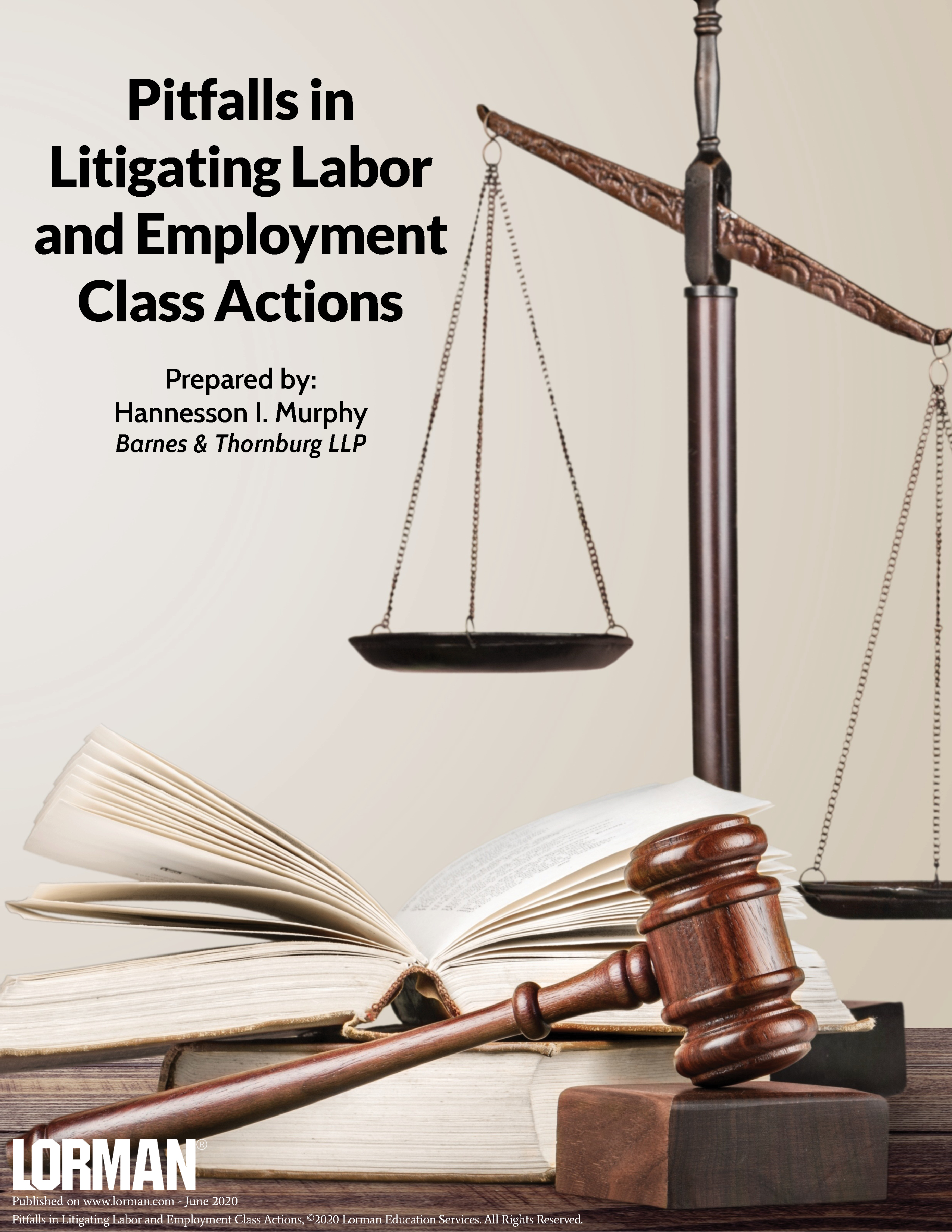 Pitfalls in Litigating Labor and Employment Class Actions