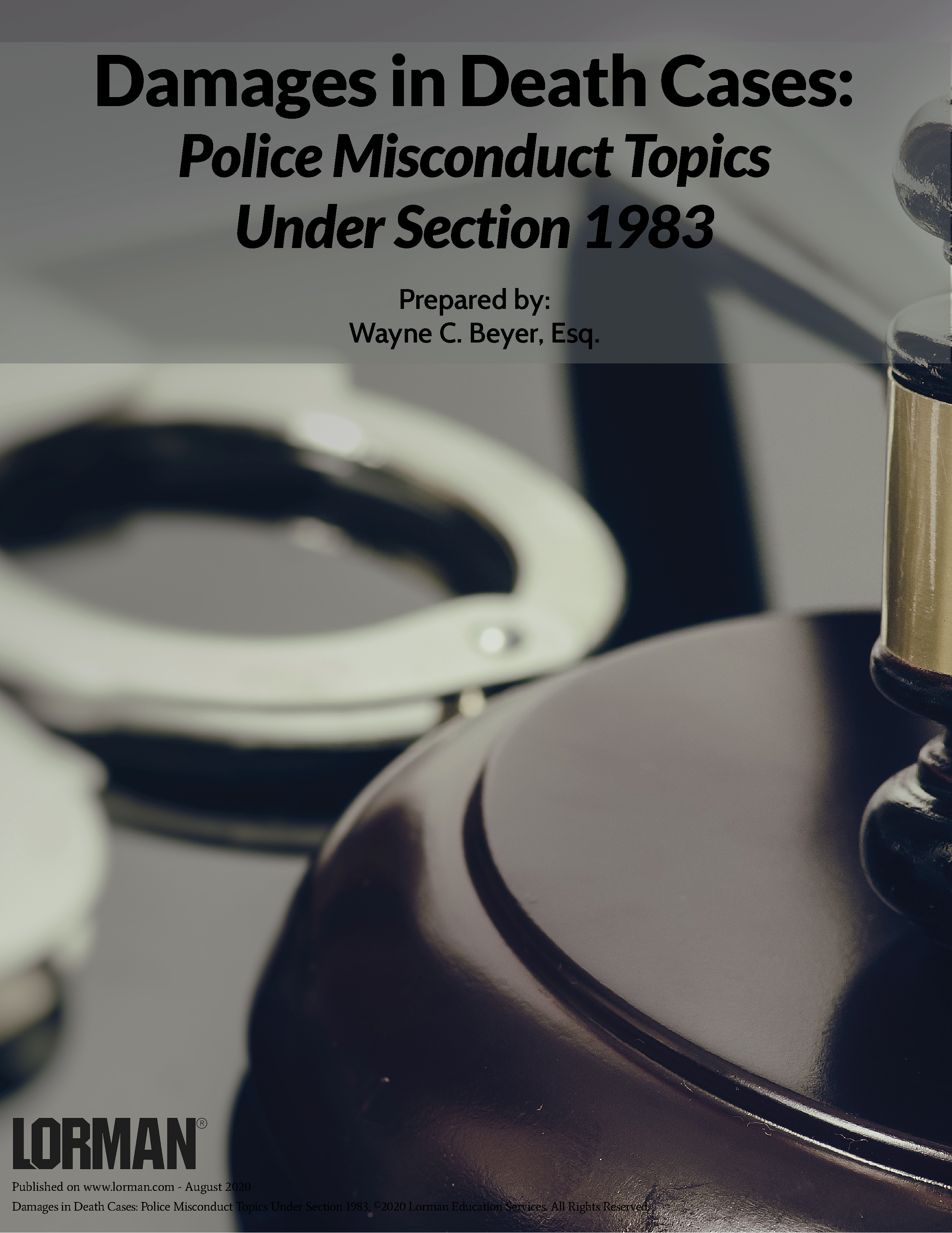 Damages in Death Cases: Police Misconduct Topics Under Section 1983