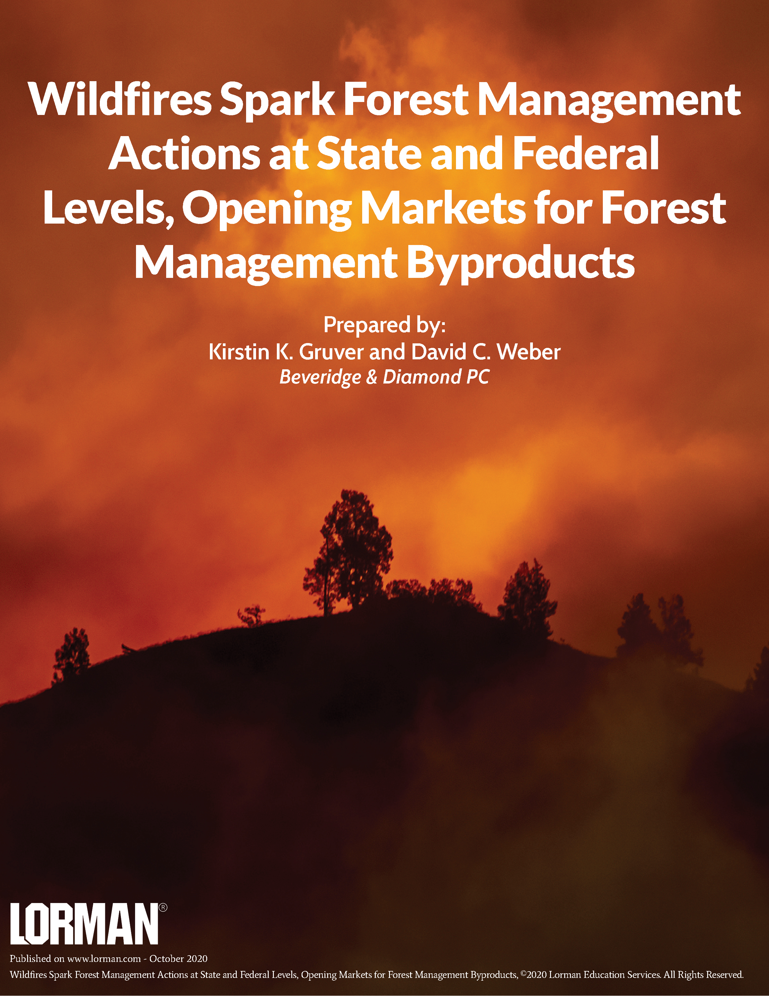 Wildfires Spark Forest Management Actions at State and Federal Levels