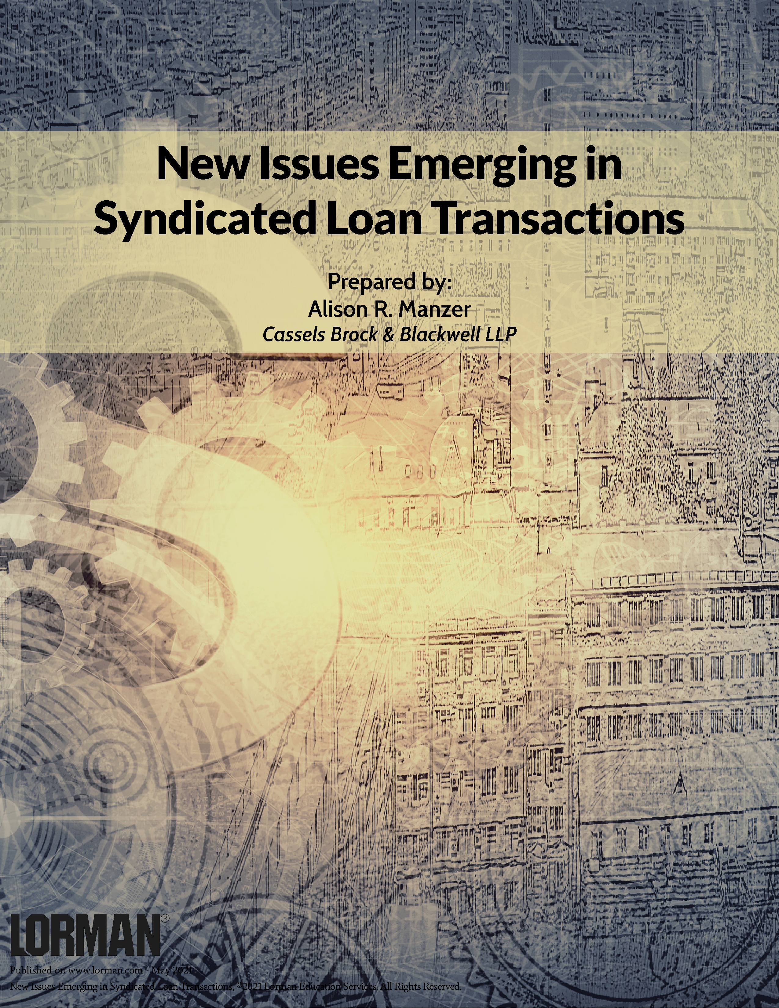 New Issues Emerging in Syndicated Loan Transactions